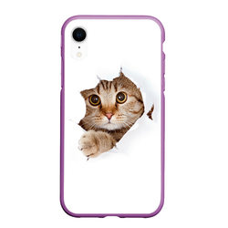Котик – Чехол для iPhone XR матовый с принтом купить