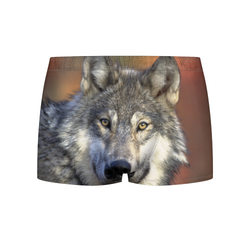 Волк – Мужские трусы 3D с принтом купить
