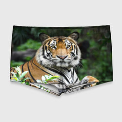Тигр в джунглях – Мужские купальные плавки 3D с принтом купить со скидкой в -11%