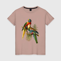 Попугаи – Женская футболка хлопок с принтом купить со скидкой в -20%