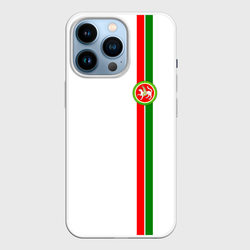 Республика Татарстан – Чехол для iPhone 14 Pro с принтом купить