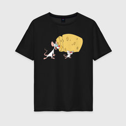 Брейн и Пинки. Animaniacs – Женская футболка хлопок Oversize с принтом купить со скидкой в -16%