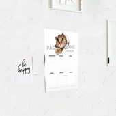 Постер с принтом Кот. Расписание уроков для любого человека, вид спереди №3. Цвет основы: белый