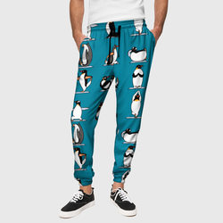 Пингвина на заярдке – Мужские брюки 3D с принтом купить