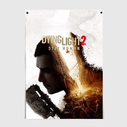 Dying Light 2 Original – Постер с принтом купить