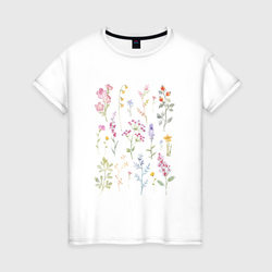 Акварельный рисунок растений – Женская футболка хлопок с принтом купить со скидкой в -20%