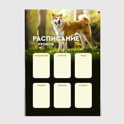 Акита ину собака Расписание уроков – Постер с принтом купить