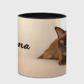 Кружка с принтом Бурманская короткошёрстная кошка для любого человека, вид спереди №4. Цвет основы: белый + черный