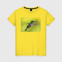 Милая колибри – Женская футболка хлопок с принтом купить со скидкой в -20%